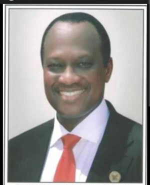 Mr. Adesegun Ogunlewe